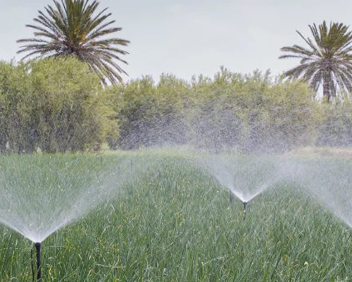 دعم البيئة وتوفير المياه