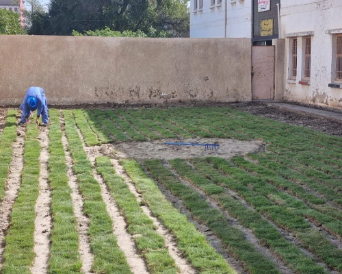 عنوان الحالة