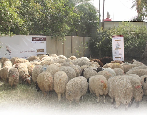 عنوان الحالة